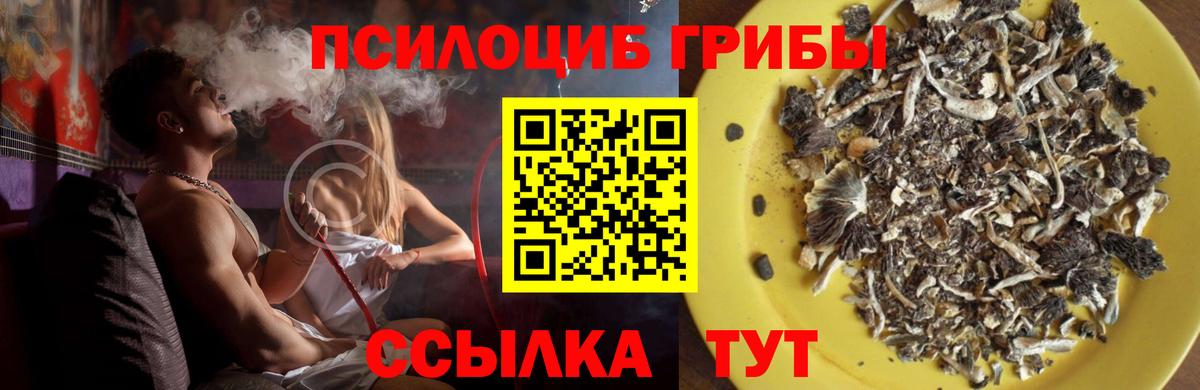 Псилоцибиновые грибы Psilocybe  Псилоцибиновые грибы мухоморы  где найти наркотики  Рубцовск  Вход с VPN 