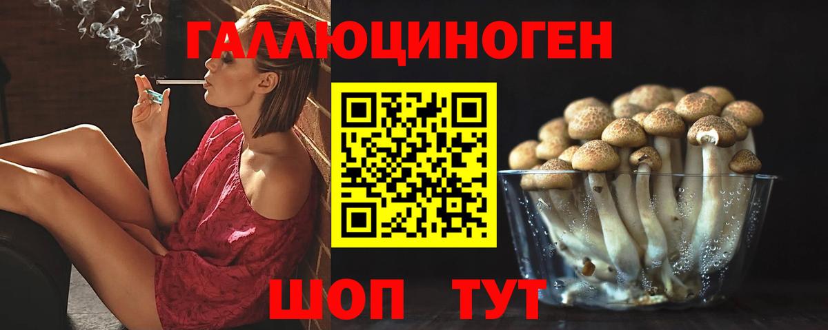 Псилоцибиновые грибы мицелий Рубцовск